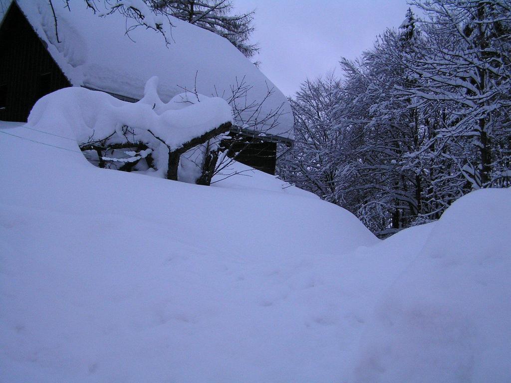 Na Slunecni Pohadkova Chaloupka Ve Sladke Dire Příchovice Dış mekan fotoğraf